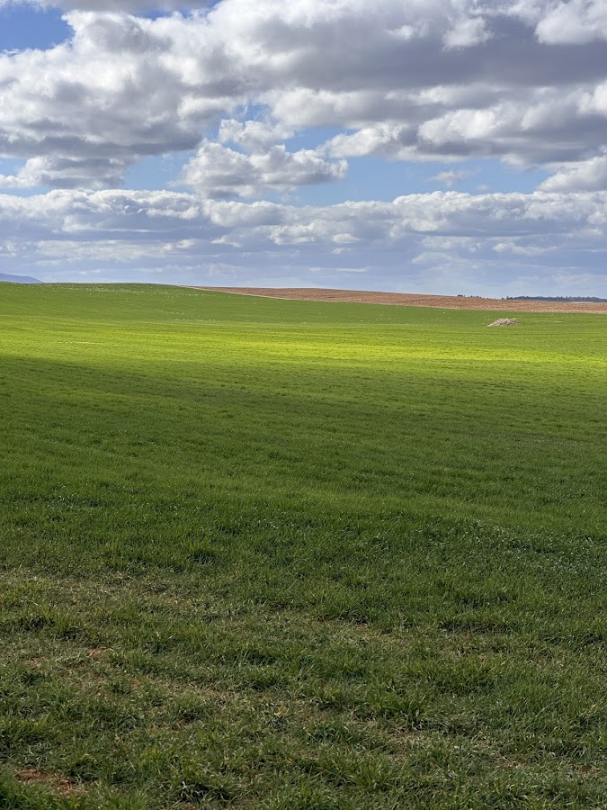 Área de descanso Venta del Cuerno